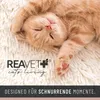 REAVET Schnurr-Oase Katzenhaus aus Filz – Katzenhöhle mit Produktbild-Vorschau 6