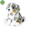 Peluche Pastore Australiano 30 Cm Ecologico Anteprima dell’immagine prodotto 6