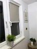 A window with a roller blind and a plant on the windowsill. Anteprima dell’immagine prodotto