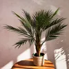 HOMLA Umelá rastlina TROPICAL ZONE Palma 120 cm Náhľad obrázku produktu 2