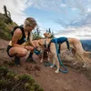 Ruffwear Switchbak Geschirr, Farbe:Blue Moon, Größe:S Produktbild-Vorschau 5