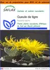 SAFLAX Garden in the bag - Gueule de tigre - 40 graines - Voir les images du produit 1