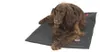 Pet-Joy Products Doggy Duvet Bench X-Treme Hundedecke, Produktbild-Vorschau 3