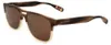 Ted Baker Sonnenbrille TB8207 162 56 16 145 Produktbild-Vorschau 5