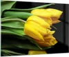 Bilder auf glas - Tulpen Strauß Spiegelreflexion grün - Produktbild-Vorschau 1