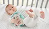 Fisher-Price riccio del sonno, carillon, aiuto al sonno del Anteprima dell’immagine prodotto 13