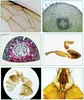 Rosfix Set Lames Microscopiques Préparées 30 Pièces – Verre Voir les images du produit 8