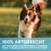 Supravit Hundenassfutter mit Strauß 6 x 820g Dosen | Produktbild-Vorschau 3