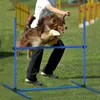 kit de 4 haies d'agilité en PVC Slalom pour animaux de Voir les images du produit 8