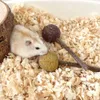 5PCS Lollipop Form Kauen Sticks Für Hamster Kaninchen Produktbild-Vorschau 3