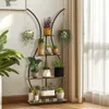 A multi-tiered plant stand filled with various potted plants is placed against a wall next to a window with sheer curtains. Náhled obrázku produktu