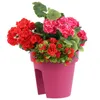 Set di 3 cassette da balcone cassetta per fiori cassetta Anteprima dell’immagine prodotto 4