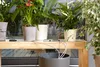 Gardena giardinaggio urbano - Kit di irrigazione per le Anteprima dell’immagine prodotto 10