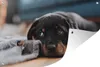MuchoWow® Produktbild-Vorschau 1
