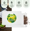 Johanniskraut Samen - Heilkräuter Saatgut aus biologischem Produktbild-Vorschau 4