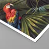 Poster - Poster ohne Rahmen - Ara Papageien Palmen - 50x40 Produktbild-Vorschau 2