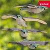 KADAX Ochrana proti holubom, sokoly, vtáky Náhľad obrázku produktu 7