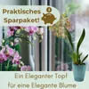 4er Set Orchideentopf Transparent Orchideen Übertopf Produktbild-Vorschau 6