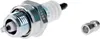 A spark plug and a small metal adapter are shown against a white background. Produktbild-Vorschau