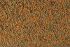 Tetra Wafer Mix - Fischfutter für alle Bodenfische (z.B. Produktbild-Vorschau 3