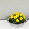 Zinkwanne Zink-Schale als runde Pflanzschale Deko-Schale Produktbild-Vorschau 5