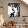 MuchoWow® Poster Elefant - Baum - Tiere - Schwarz und weiß Produktbild-Vorschau 6