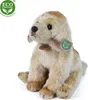 RAPPA Plyšový labrador na sedenie 27 cm ECO-FRIENDLY Náhľad obrázku produktu 5