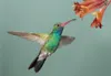 3 D Ansichtskarte Kolibri, Vogel Postkarte Wackelkarte Produktbild-Vorschau 3