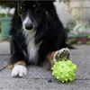PROCYON TPR Snackball Fisch Produktbild-Vorschau 3