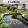 A garden pond with koi fish and a house in the background. Produktbild-Vorschau