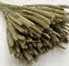 Getrocknetes Timothy-Gras - Natur Produktbild-Vorschau 3