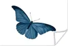 MuchoWow® Poster Schmetterling - Tiere - Blau 90x60 cm - Produktbild-Vorschau 1