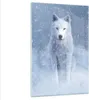 Bilder auf glas - Einteilig - Weiß Wolf Schnee - 80x120cm - Produktbild-Vorschau 1