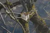 raxxa Premium-Puzzle "Traumwelten - Im Ewignest", 1000 Produktbild-Vorschau 2