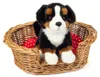 Teddy-Hermann Teddy Hermann cane da montagna bernese Anteprima dell’immagine prodotto 3