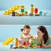 LEGO 10984 DUPLO My First Biogarten Bausteine-Box, Produktbild-Vorschau 7
