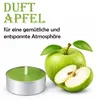 Duft-Teelichter 36er Pack – Duft Apfel, ca. 4 Stunden Produktbild-Vorschau 2