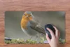 MuchoWow® Mauspad Mousepad Rotkehlchen - Wasser - Moos Produktbild-Vorschau 3