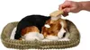 Perfect Petzzz Plüschhund Beagle 96255 Produktbild-Vorschau 6