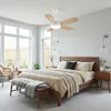Ventilateurs de 107 cm, dont les surfaces blanches sont Voir les images du produit 4