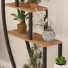 A multi-tiered shelf unit with various potted plants displayed on it, set against a textured wall. Produktbild-Vorschau