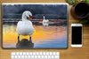 MuchoWow® Laptop Aufkleber Sticker Cover Schwan - Vogel - Produktbild-Vorschau 2
