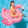 Intex RideOn Flamingo - nadmuchiwane pływające zwierzę / Podgląd zdjęcia produktu 13