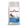 Royal Canin Indoor Long Hair, Adult, Mais, Reis, 2 kg Produktbild-Vorschau 12