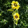 LED Solar Gartenstecker SONNENBLUME - H: 1,25m - Produktbild-Vorschau 5