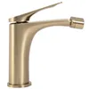 A close-up studio shot of a single gold-colored bidet faucet against a white background. Anteprima dell’immagine prodotto