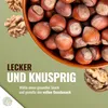 Natural Food Walnusse mit Schale, Vegan, Frisch und Lecker, Produktbild-Vorschau 9