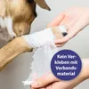 ardapcare Canosept Gel per ferite per cani - 0,02 litri Anteprima dell’immagine prodotto 5