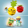 Stavebnica LEGO DUPLO Môj prvý traktor so zeleninou a Náhľad obrázku produktu 26