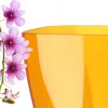 KADAX vaso da fiori "Menfi", vaso da fiori per orchidea, Anteprima dell’immagine prodotto 7